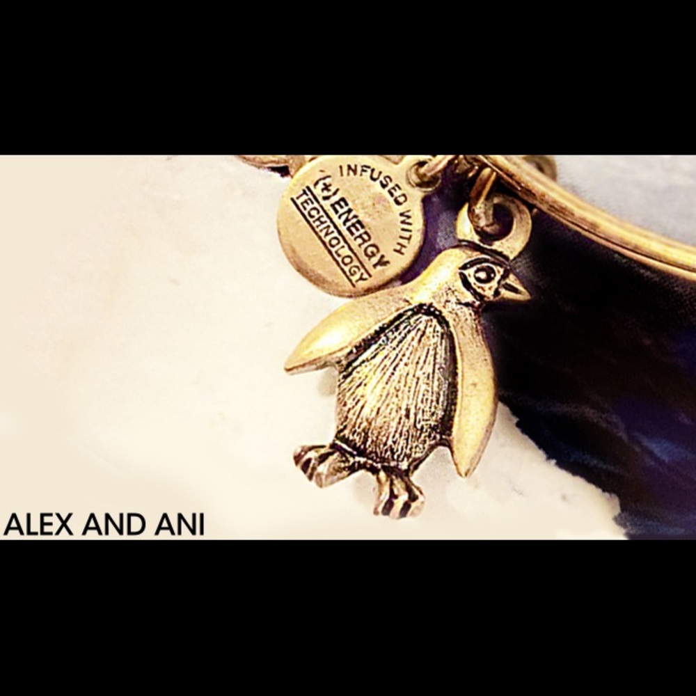 Alex and Ani penguin